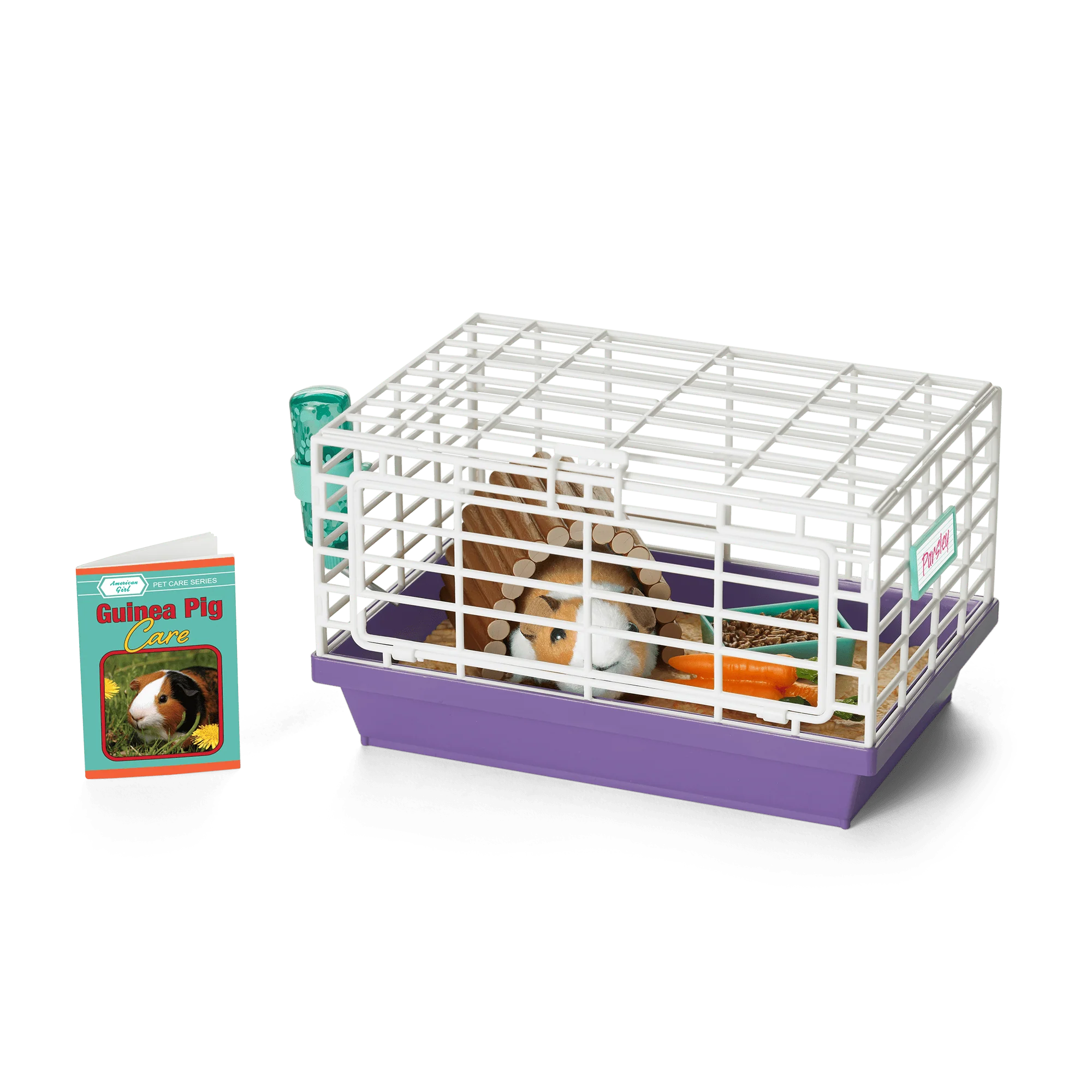 Courtney's™ Guinea Pig (Historical Characters) 2 Courtney's™ Guinea Pig (Historical Characters)