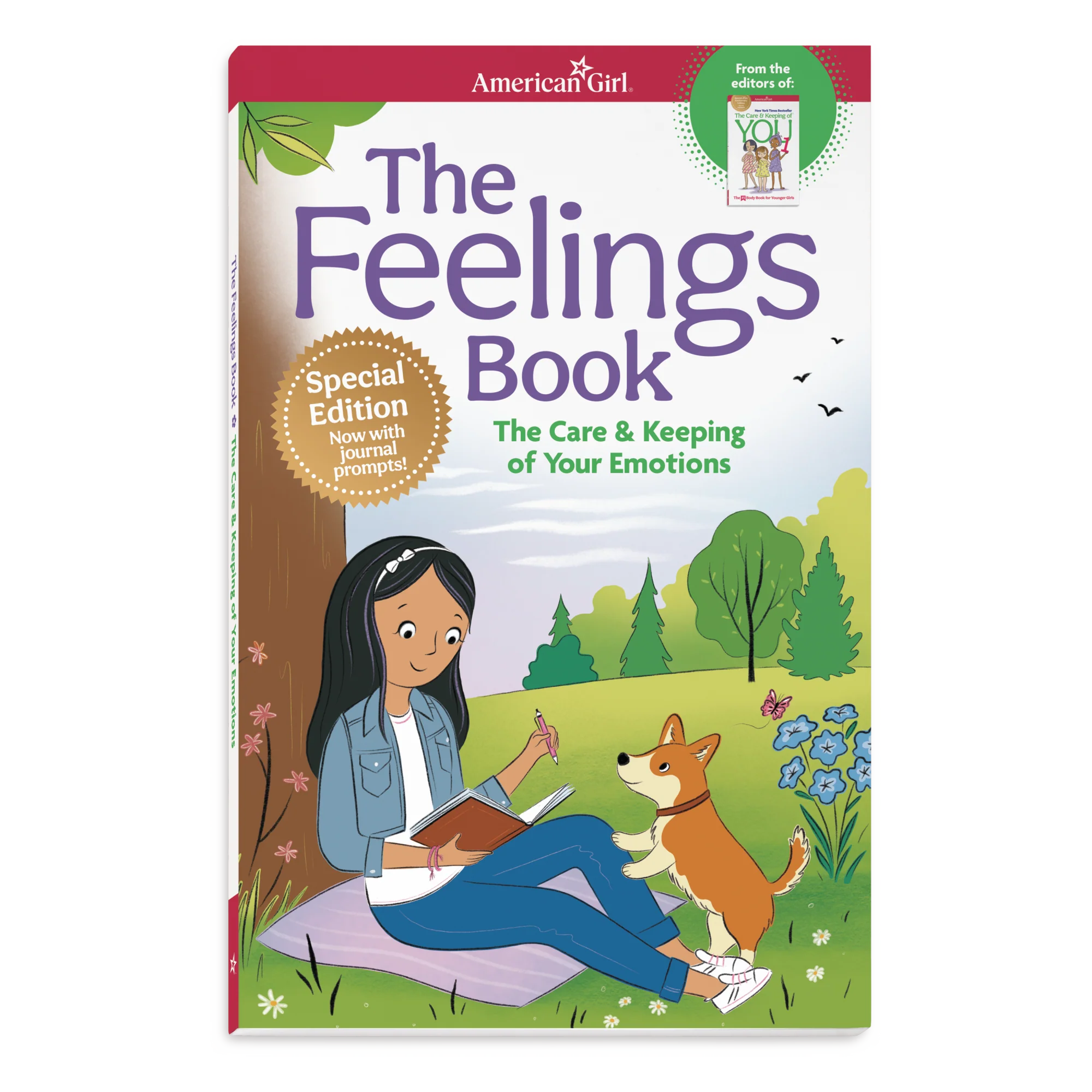 The Feelings Book: The Care & Keeping of Your Emotions